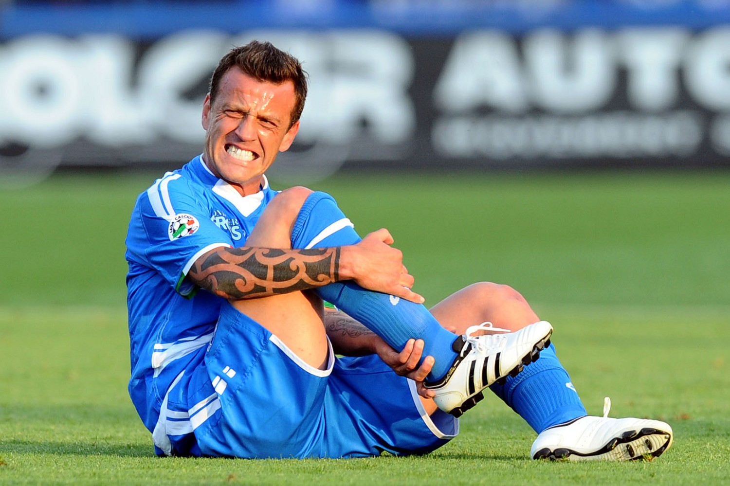 flachi