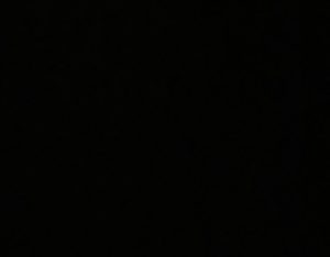 IMG_20240806_123535